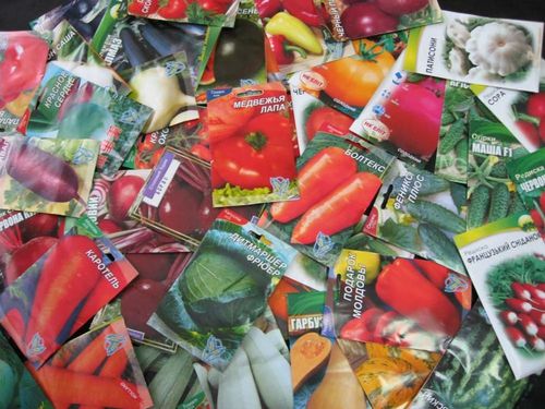 Фото пресс-службы Управления Россельхознадзора по Хакасии и Туве